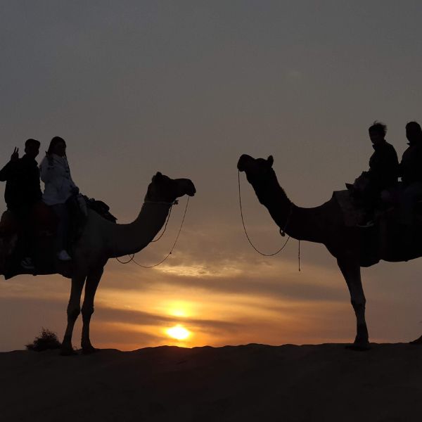 India Tour Packages